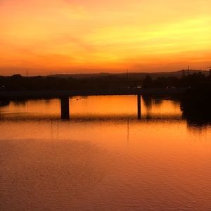 Meet your Posher, Holden